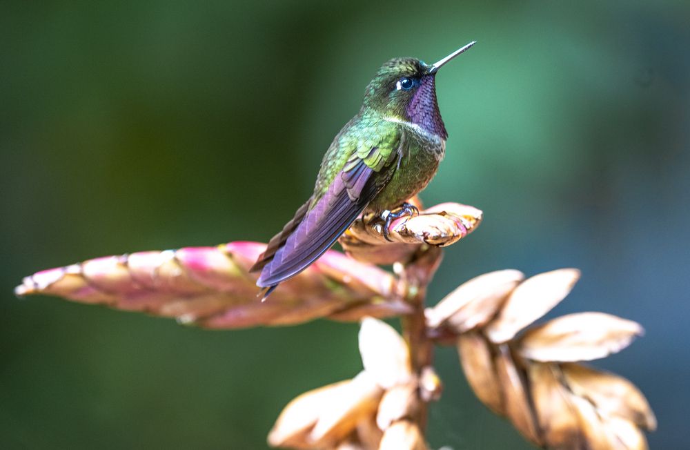 Photograph by Alberto Camardiel