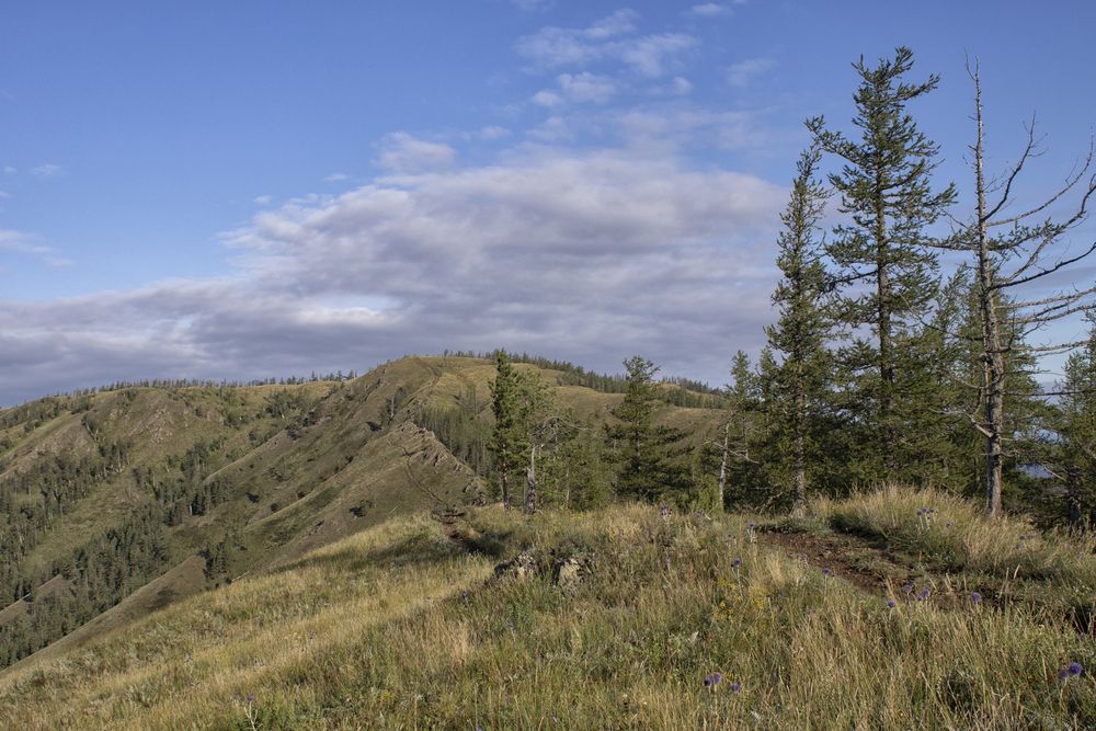 Фотография автора Веста Ягужинская