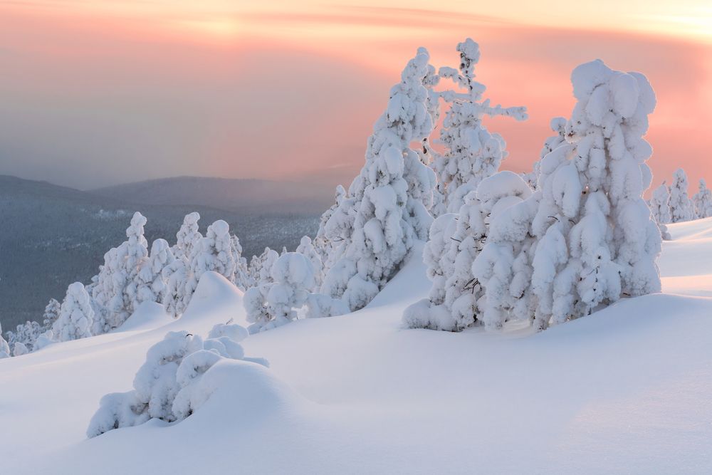 Photograph by Александр Нерозя