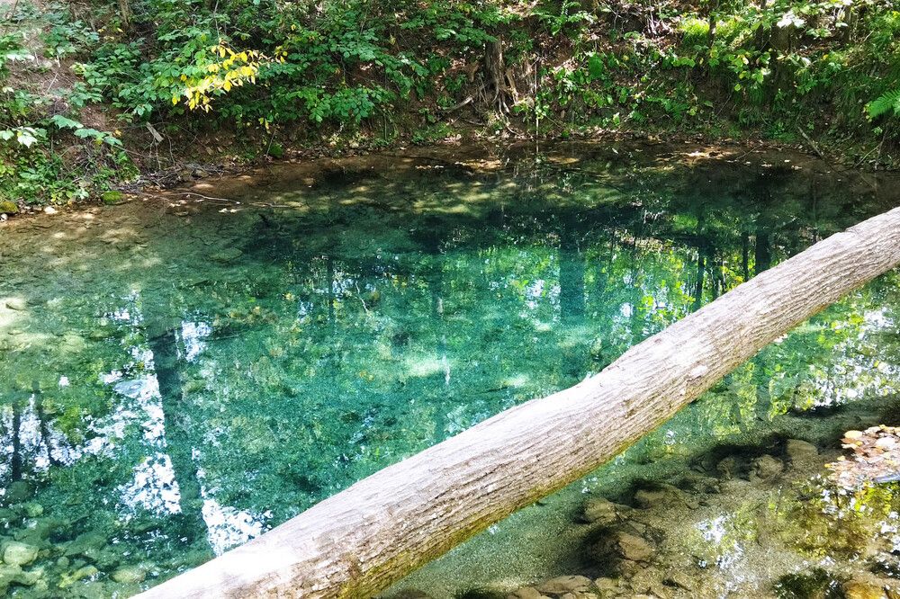 Фотография автора Веста Ягужинская