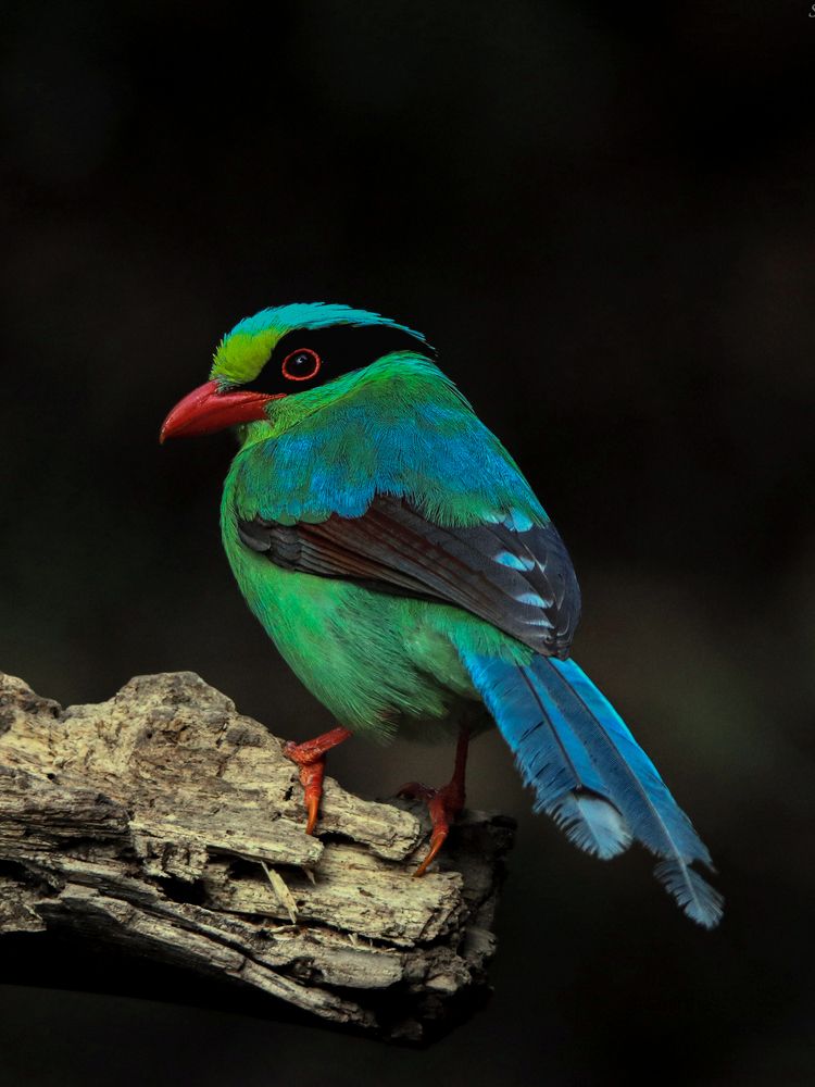 Nature\\\'s pallette!!