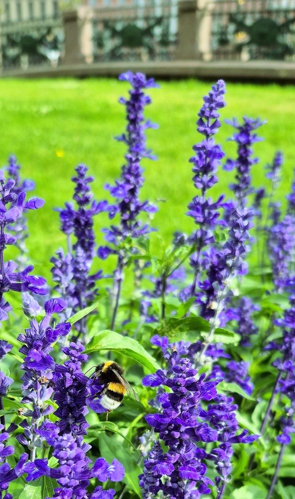 Photograph by Валентина Кузьменко