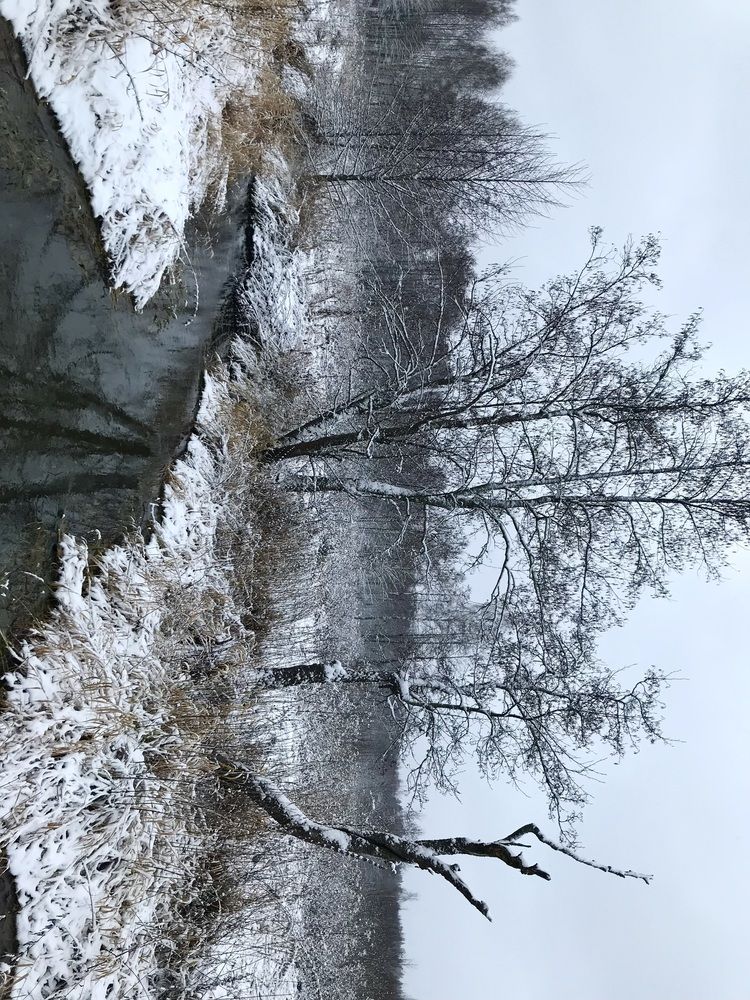 Photograph by Надежда Ткаченко