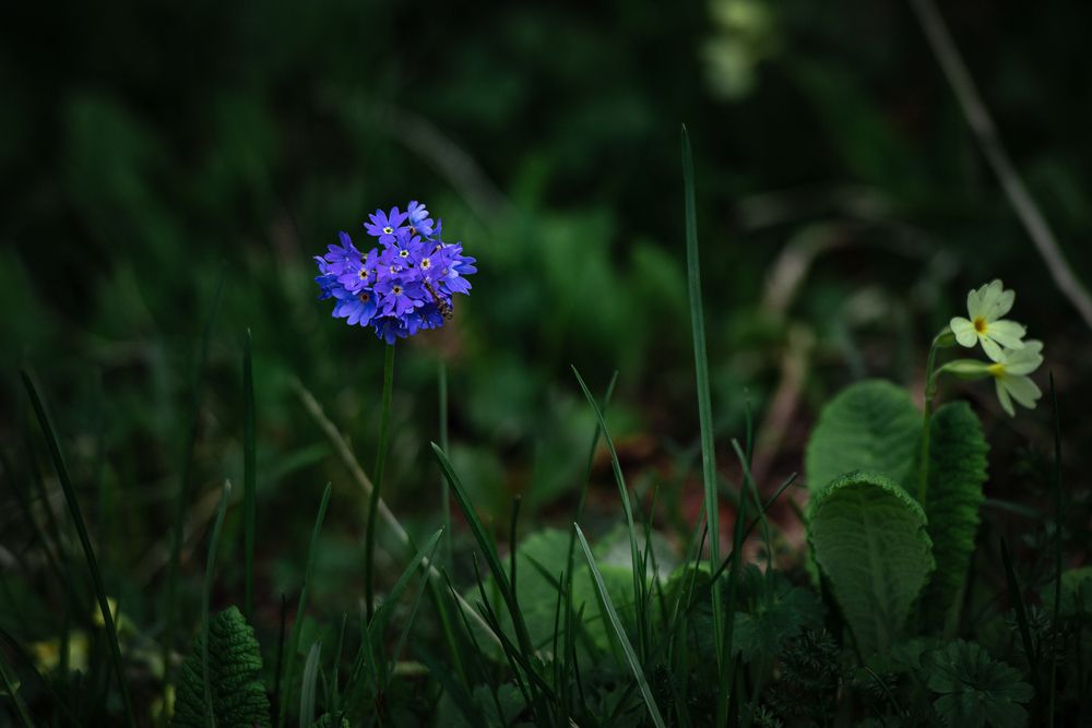Photograph by Maria Chistova (Pasternak)