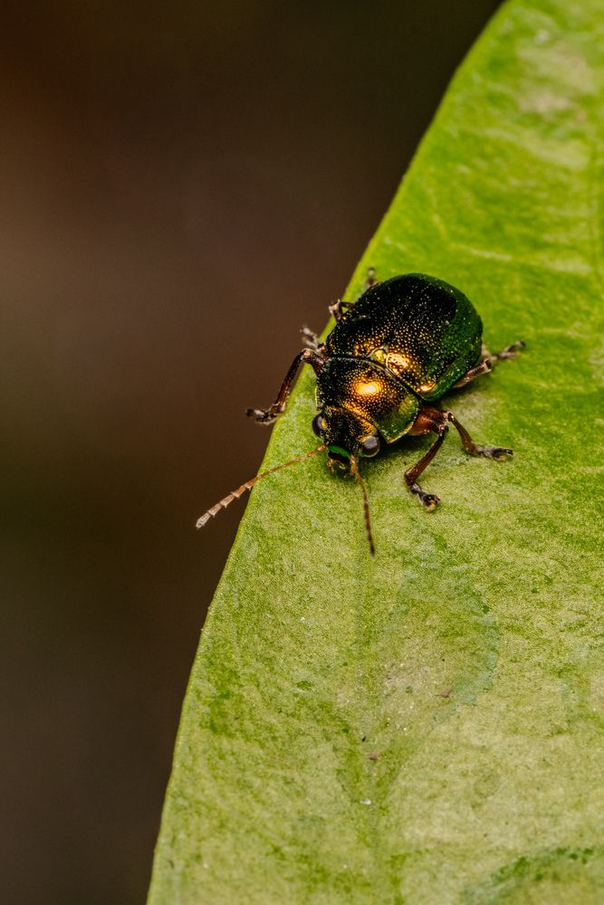 Фотография автора Shalini Jain