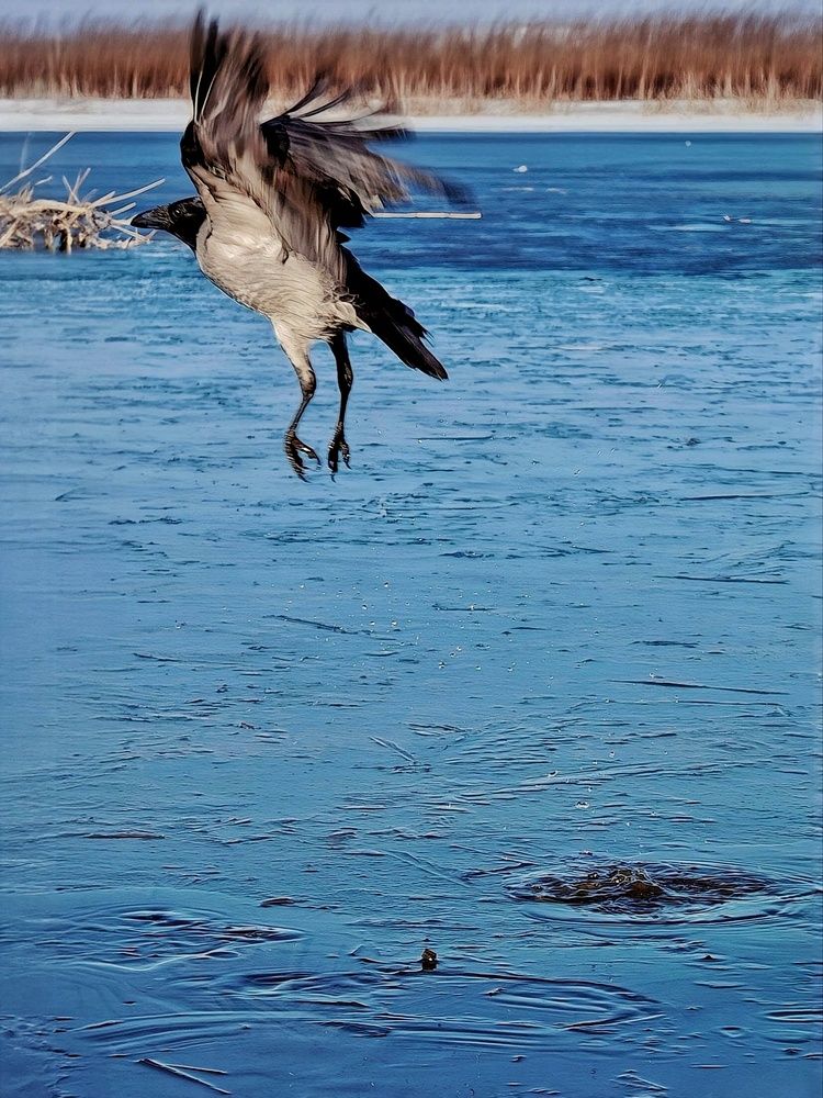 Photograph by Инна Мухина