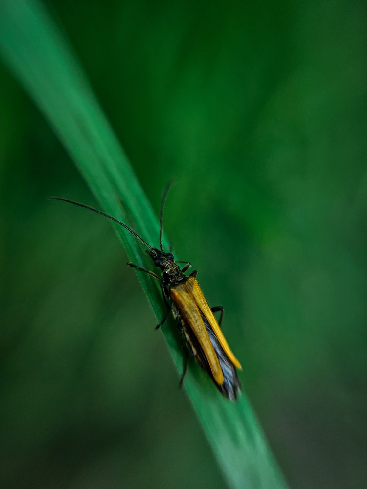 Photograph by Сергей Пыдык