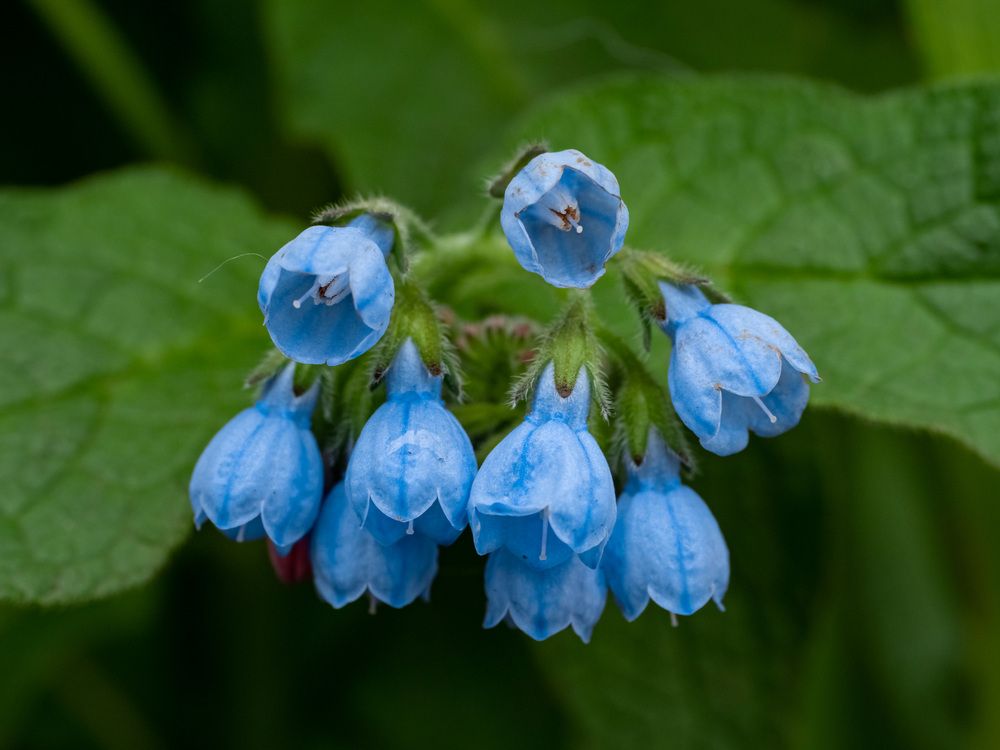 Photograph by Pavel Milovankin