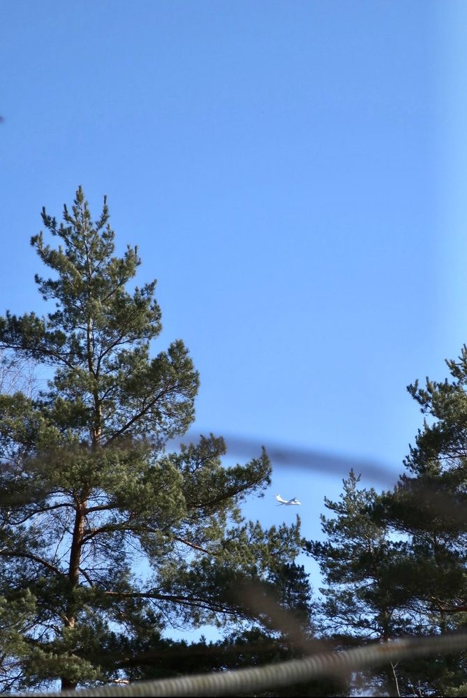 Photograph by Надежда Ткаченко