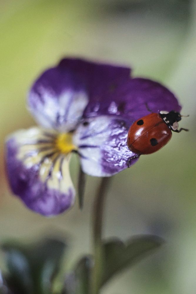 Photograph by Анна