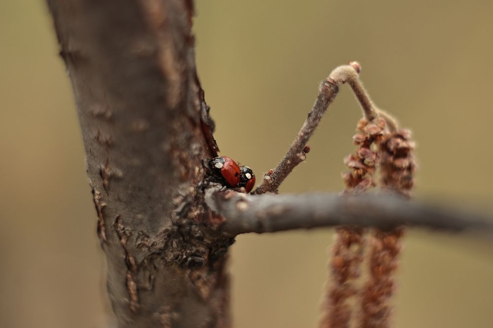 Photograph by Анна