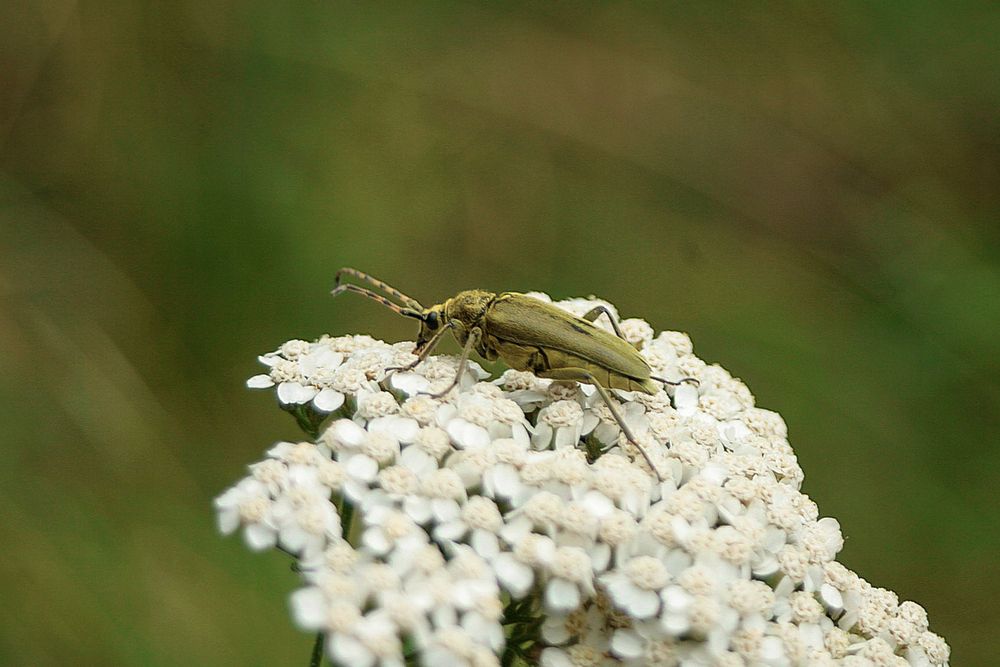 Photograph by Оксана Савина