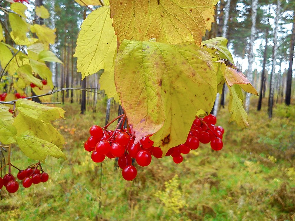 Photograph by Оксана Савина