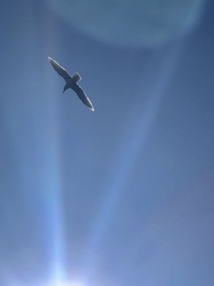 Photograph by Анна