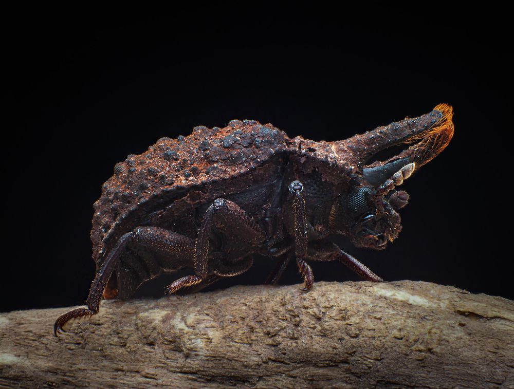 Photograph by Celis Norman