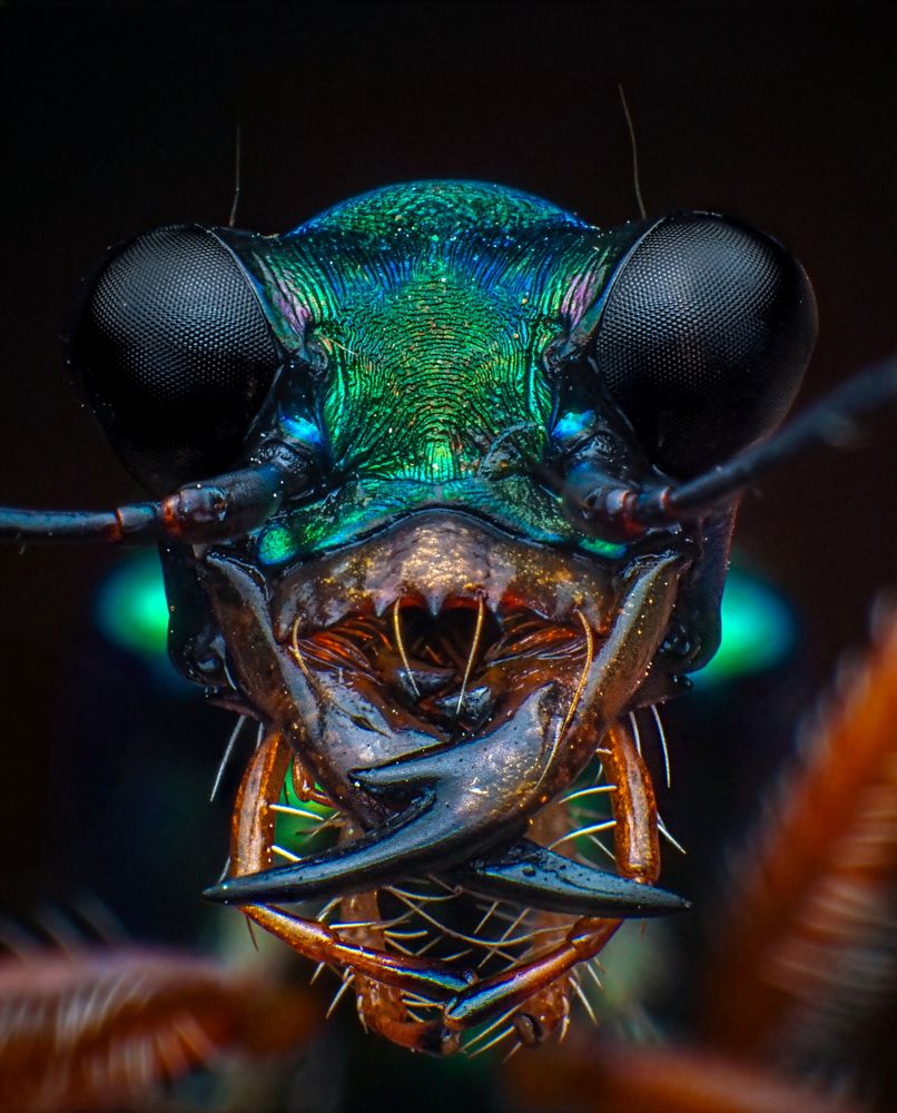 Photograph by Celis Norman