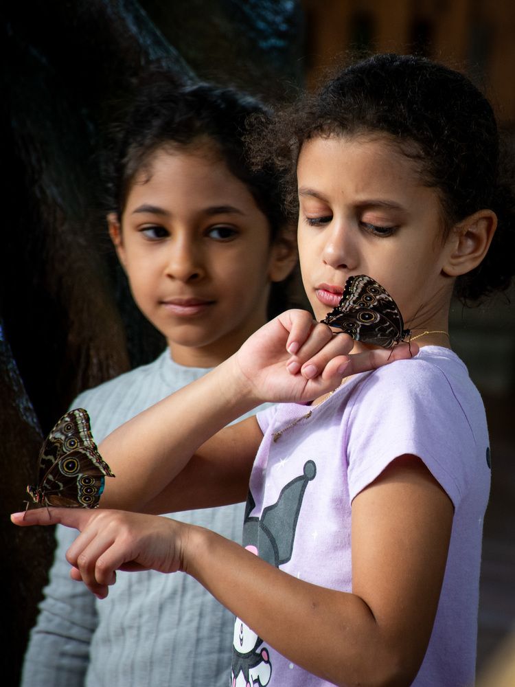 Photograph by Наталья Кокорина