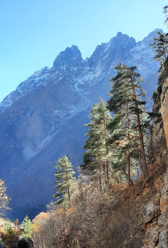 Photograph by Елена