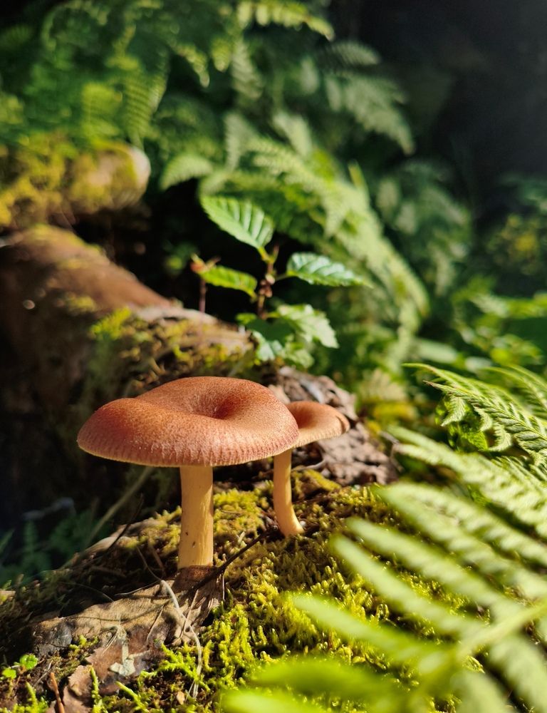 Photograph by Ирина Молоткова