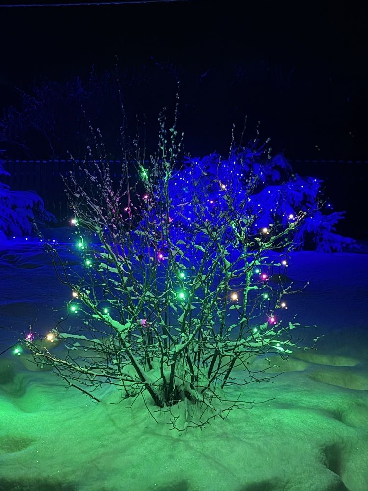 Photograph by Оксана Малышева