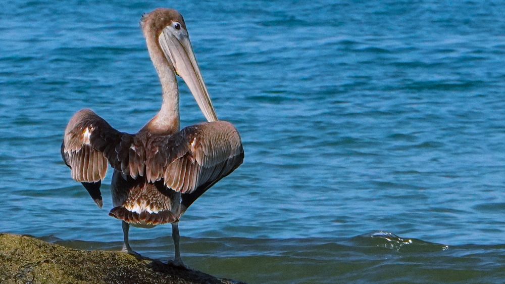 Photograph by Mateo Arellano