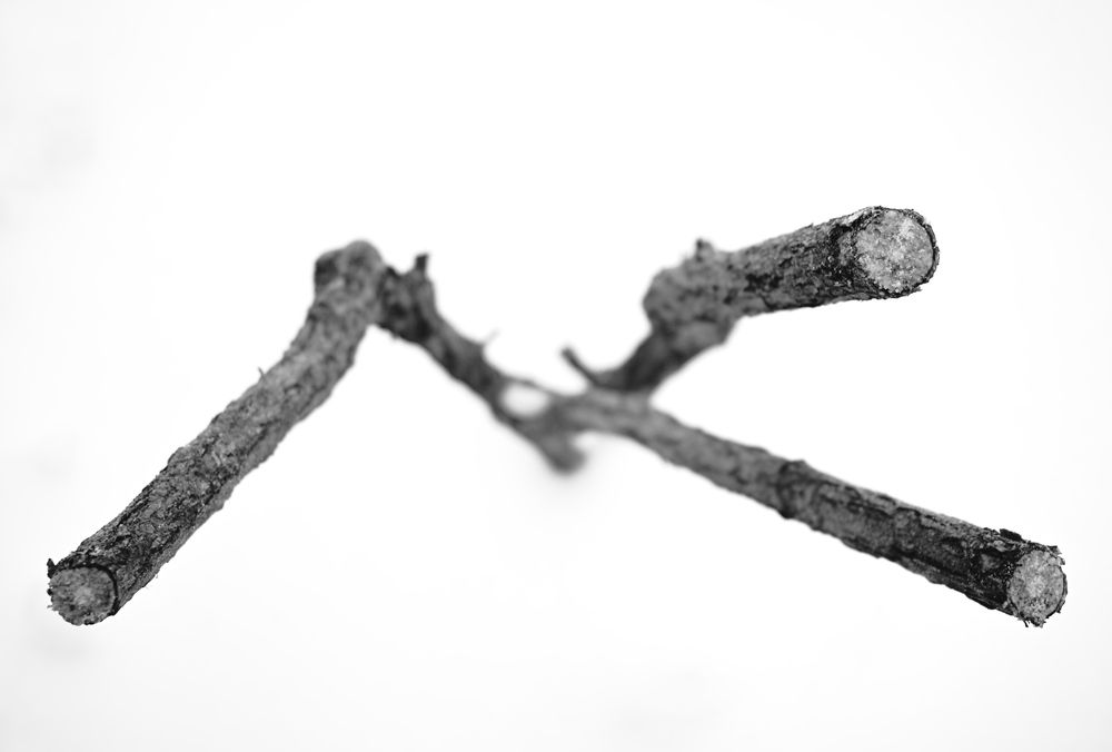 Photograph by Алексей