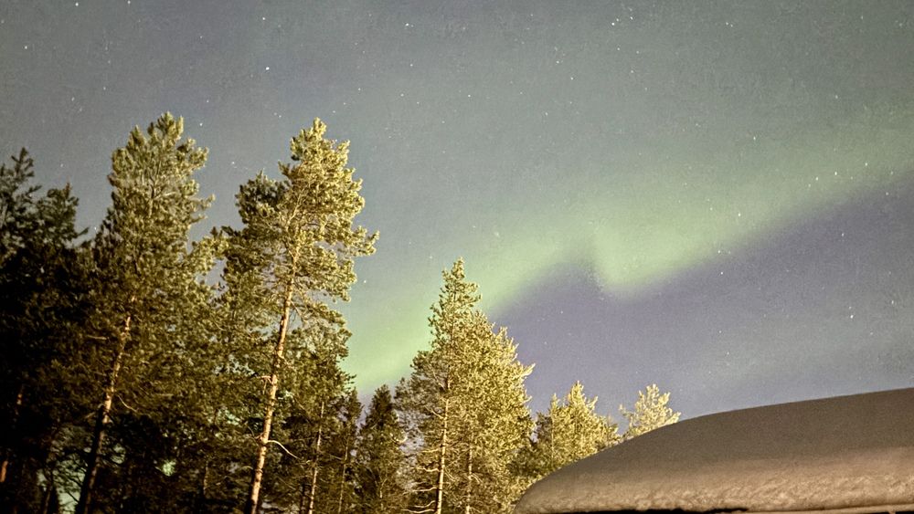 Photograph by ЮЛИЯ СУЛИМОВА