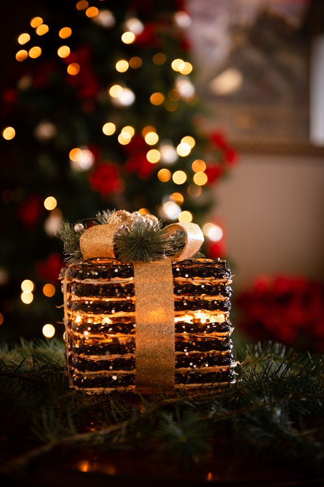 Фотография автора Татьяна Охапкина