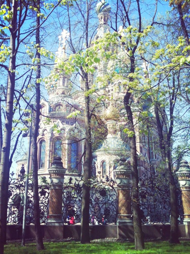 Фотография автора Снежана Лаптева