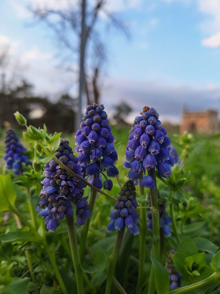 Фотография автора Даниил Барченко