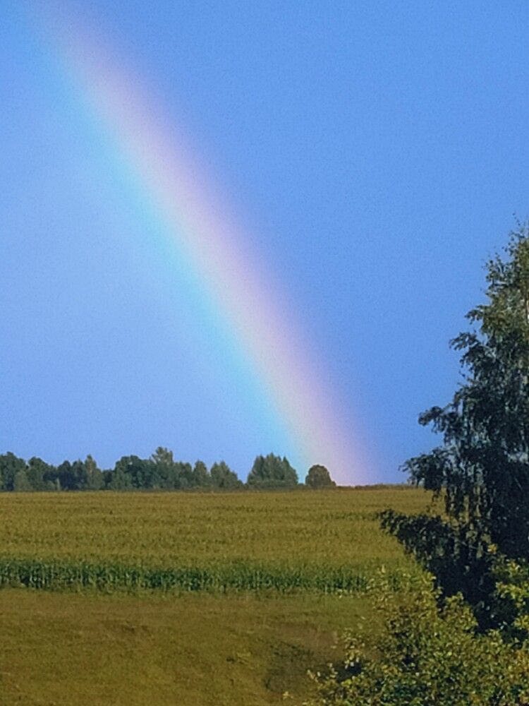 Photograph by Юрий Гордеев