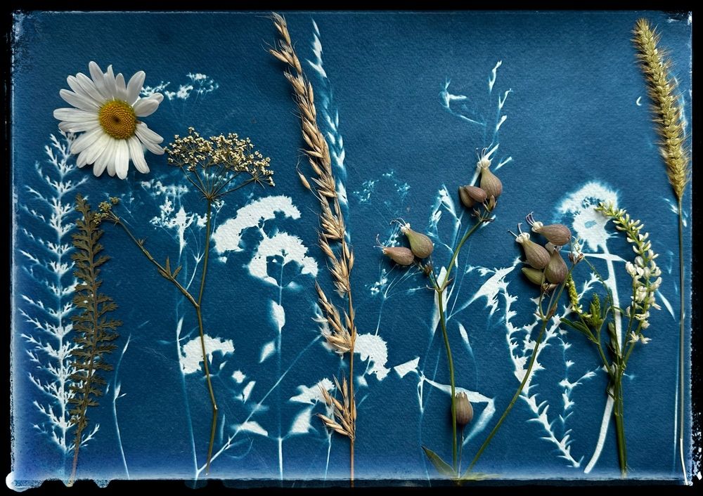 Photograph by Marina Argunova