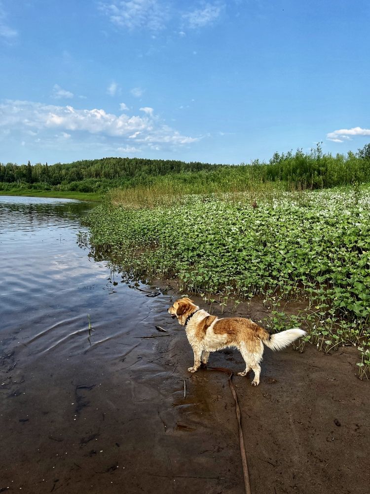 Photograph by Ирина Селиверстова