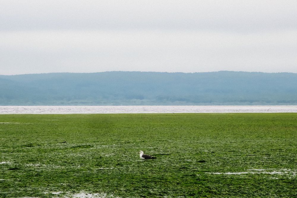 Photograph by Marina Argunova