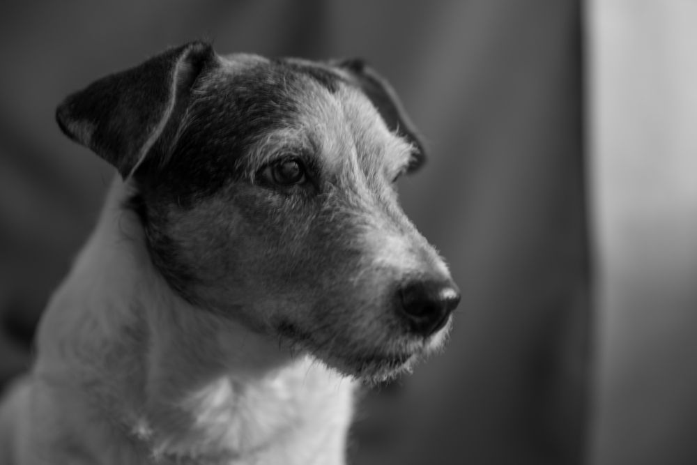 Photograph by Елена Данченко