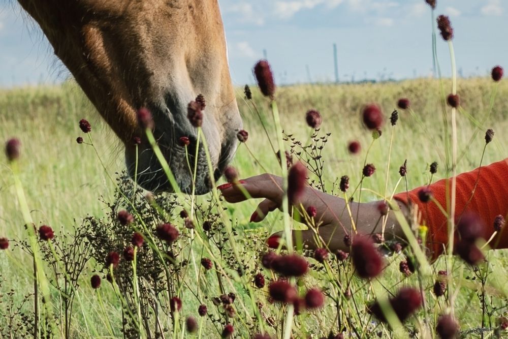 Фотография автора Александра Токарева