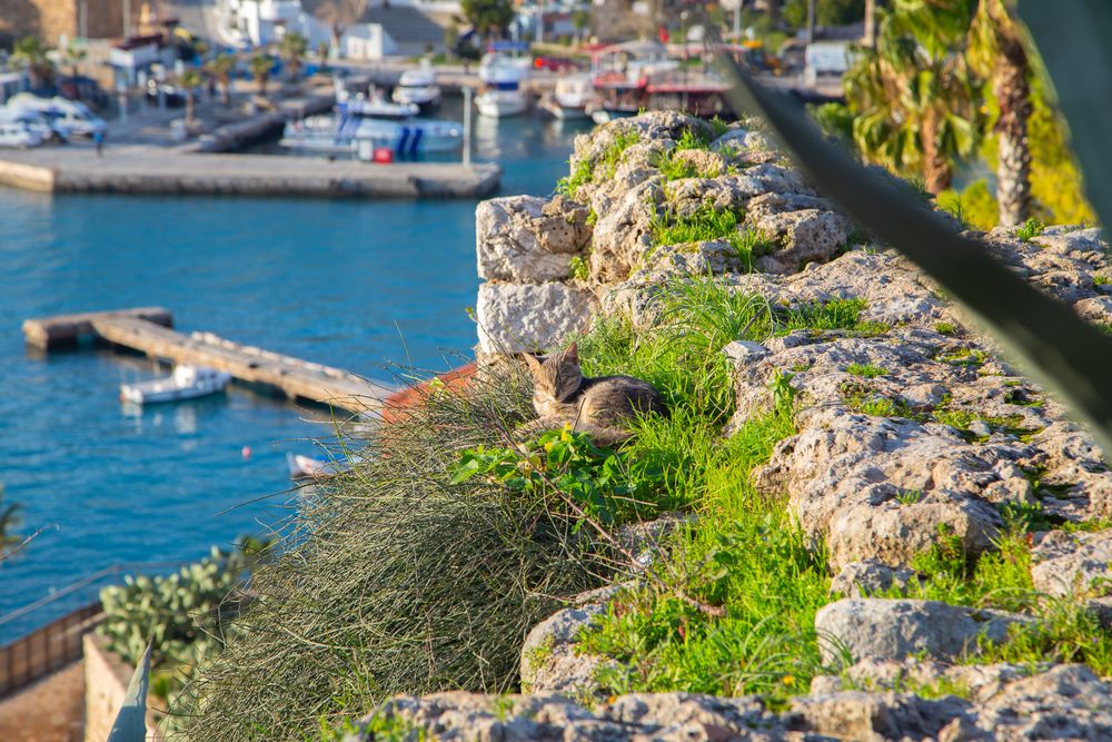 Photograph by Алексей Тихонов