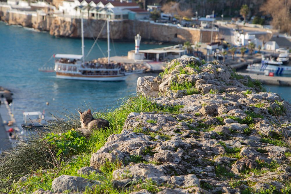 Photograph by Алексей Тихонов