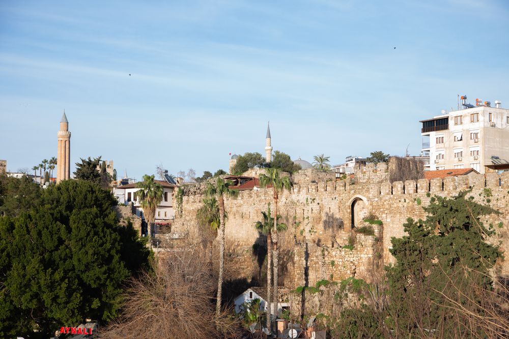 Photograph by Алексей Тихонов