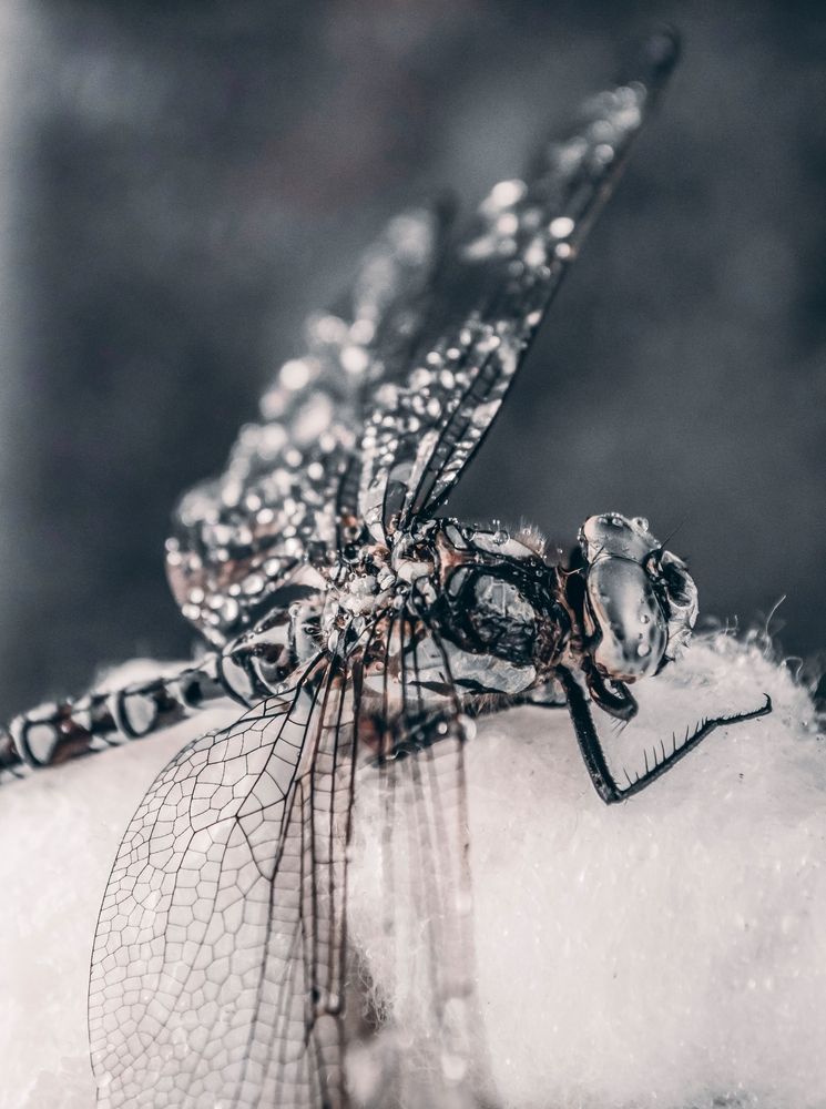 Photograph by Любовь Бусова