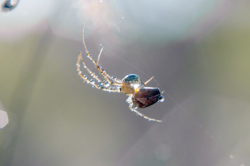 Photograph by Любовь Бусова