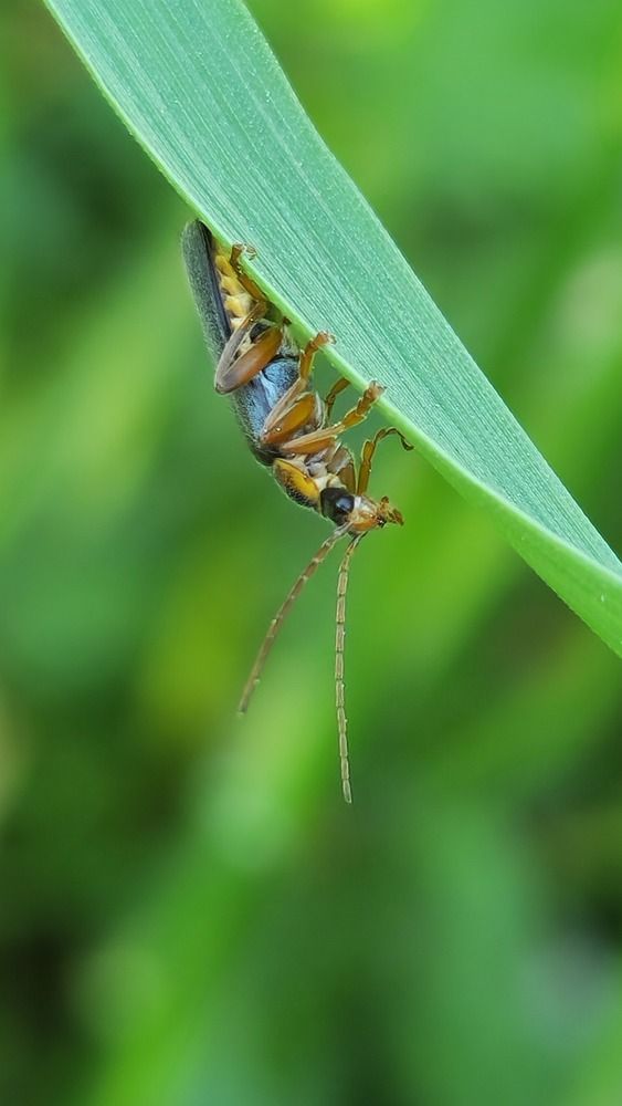 Photograph by Ольга Быстрова