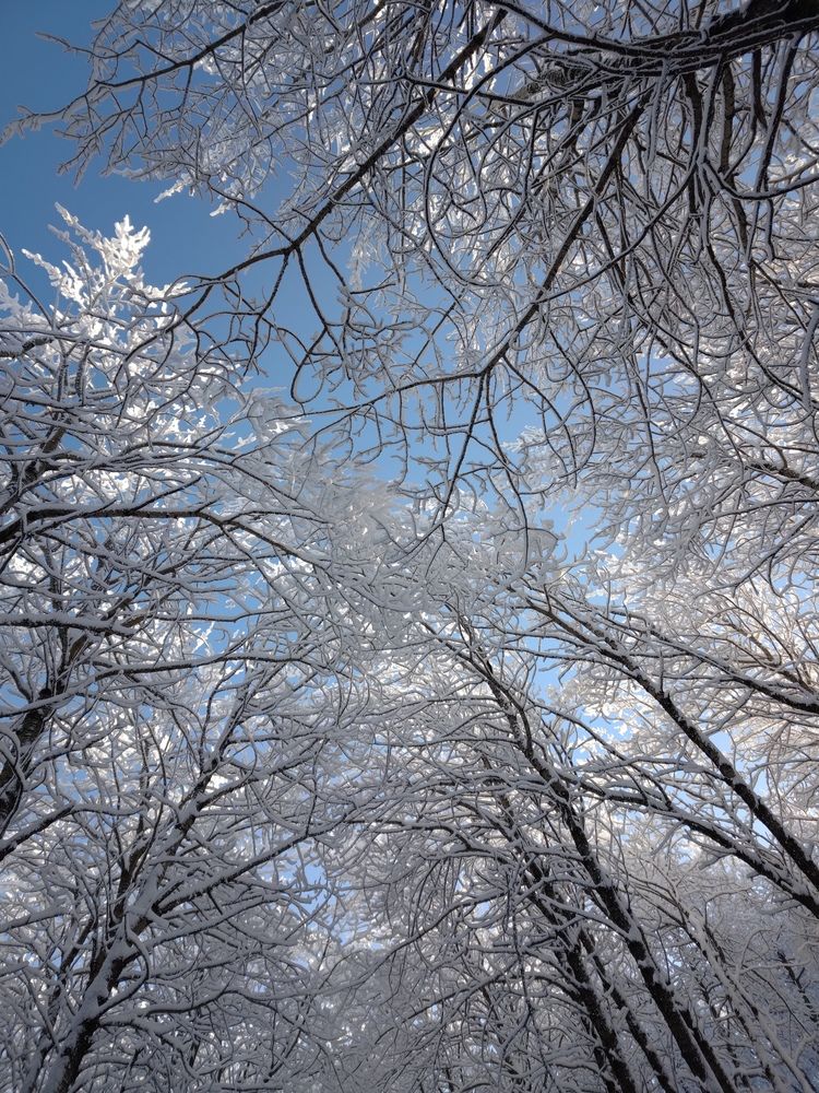 Photograph by Евгений Серебряков