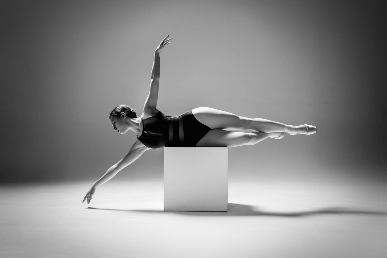 Фотография #13199421