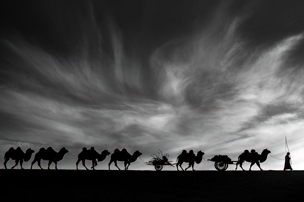 Photograph by Ovi D Pop