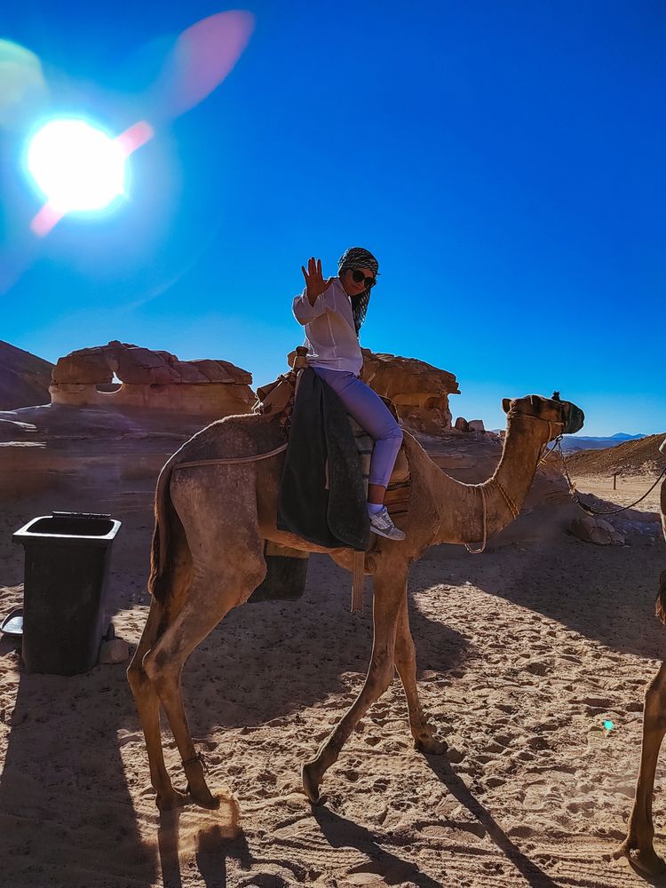 Фотография автора Наталья Королева