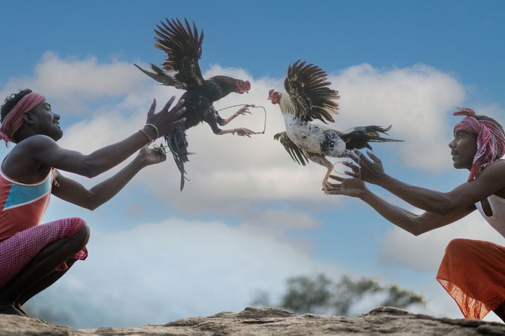 Photograph by Ovi D Pop