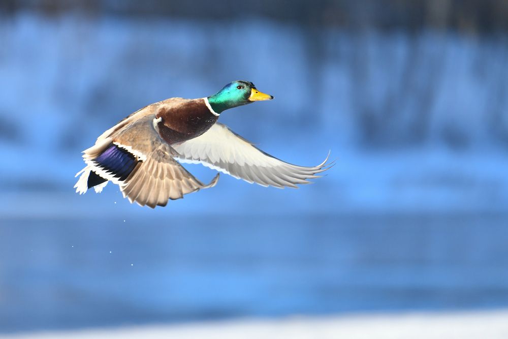 Фотография автора Денис Василец