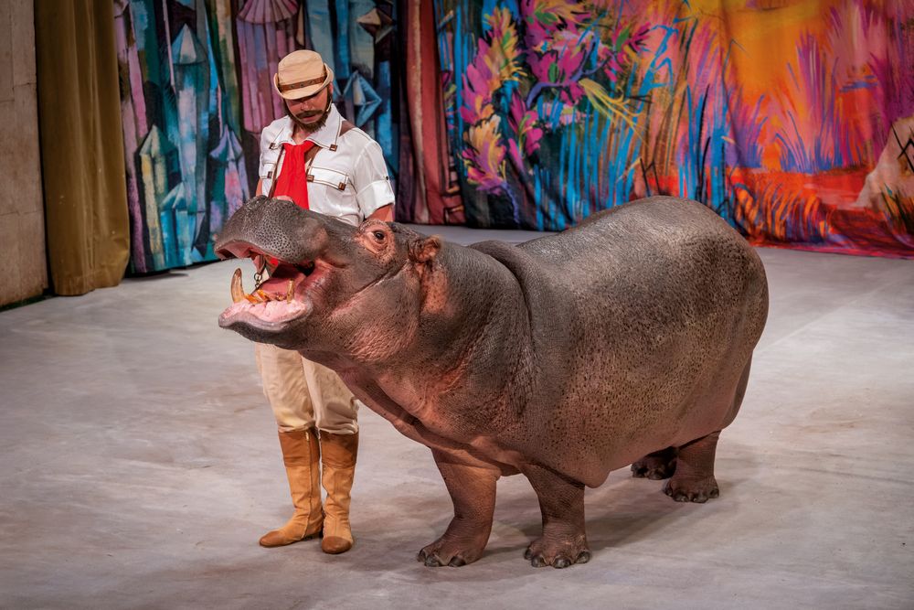 Photograph by Демьян Лопатов