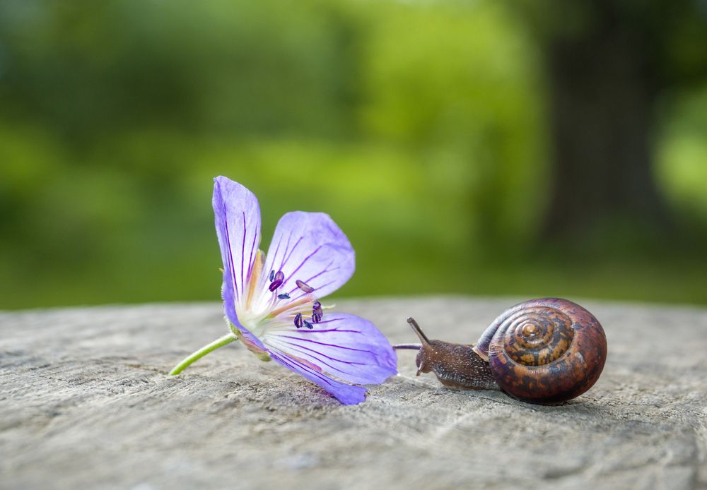 Photograph by Елена